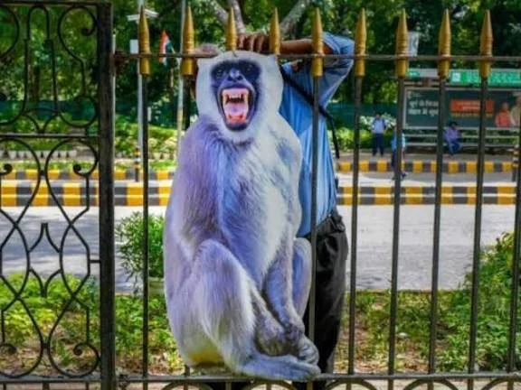 दिल्ली विधानसभा में लंगूर की आवाज़ निकालने वालों को  नौकरी! मिलेगी सैलरी और बीमा कवर
