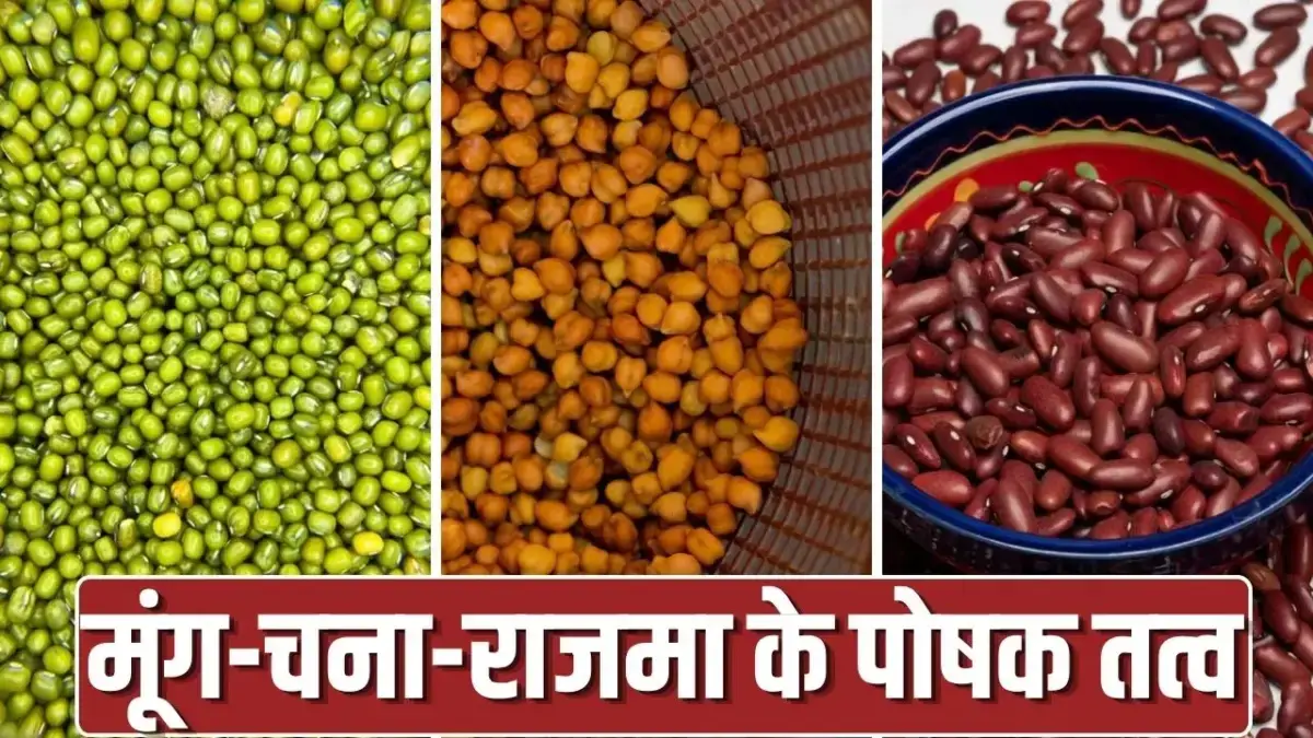 राजमा, चना या मूंग दाल – कौन देता है सबसे अधिक प्रोटीन?