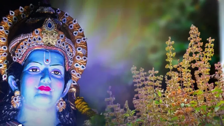 कार्तिक मास 2026 में तुलसी पूजा के नियम: भगवान विष्णु की बरसती कृपा