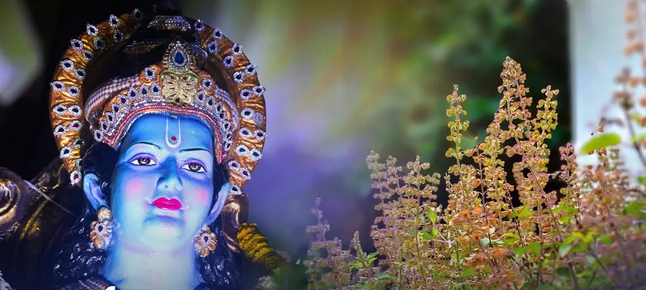 कार्तिक मास 2026 में तुलसी पूजा के नियम: भगवान विष्णु की बरसती कृपा