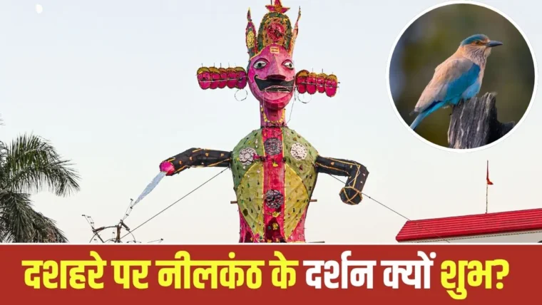 दशहरा 2026: नीलकंठ पक्षी के दर्शन से बदल सकती है आपकी किस्मत