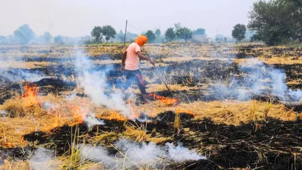 पंजाब में पराली जलाने की घटनाओं में तरनतारन‑अमृतसर सबसे आगे, 10 लाख रुपये का जुर्माना