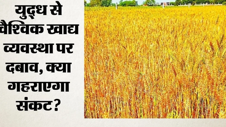 युद्ध के कारण कृषि भूमि में भारी कमी, 25.5 करोड़ लोगों को खाद्य संकट का सामना