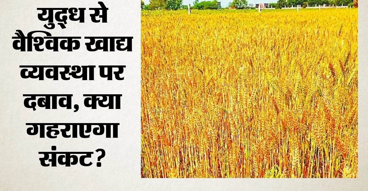युद्ध के कारण कृषि भूमि में भारी कमी, 25.5 करोड़ लोगों को खाद्य संकट का सामना