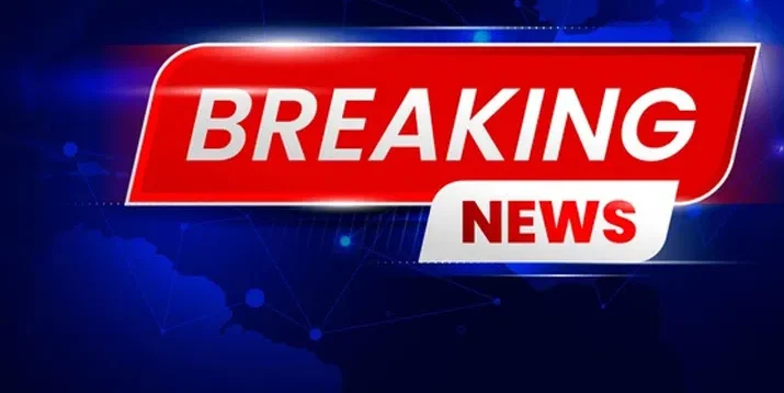 लवलीना बोरगोहेन ने एशियन गेम्स 2026 में गोल्ड मेडल जीतकर 12 साल बाद भारत को महिला बॉक्सिंग में पहला स्वर्ण दिलाया