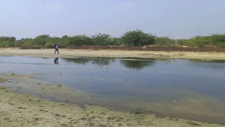 सुप्रीम कोर्ट ने राजस्थान की लूनी नदी की चौड़ाई पर अधिकारियों को फटकारा