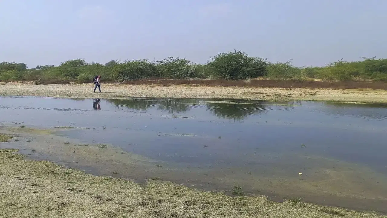सुप्रीम कोर्ट ने राजस्थान की लूनी नदी की चौड़ाई पर अधिकारियों को फटकारा