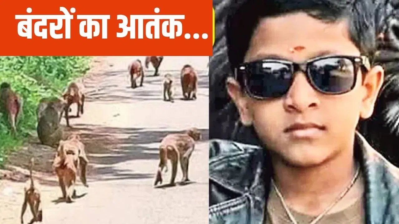 सूर्यापेट में बंदरों के झुंड से भागते हुए 12 साल के बच्चे की मौत