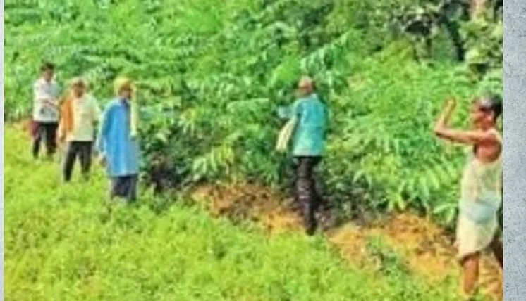 सोनभद्र के 38 गांवों ने बचाए 2070 हेक्टेयर जंगल, शिफ्ट में देते हैं पहरा